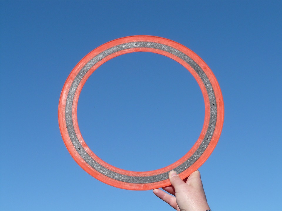 GEANNULEERD - Frisbee