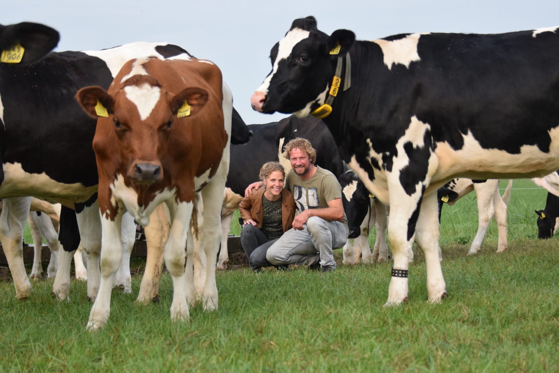 VOL - Boerderijeducatie Rivierenland - Melkveebedrijf Hoeve Boveneind